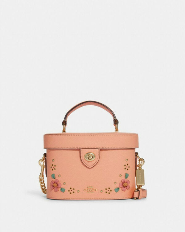 Coach Kay Crossbody With Floral Whipstitch (faded Blush Multi)