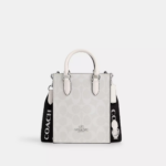 Coach North South Mini Tote In Signature (Glacier)