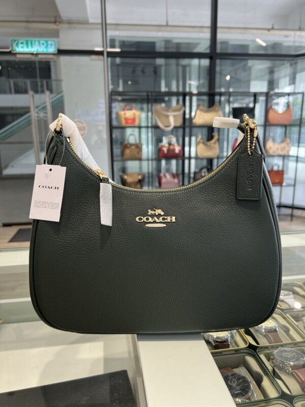 Coach Teri Hobo (Amazon Green) - Image 6