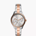 Fossil Rye Multifunction Two-Tone Stainless Steel Watch Women (BQ3761)