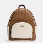Coach Court Backpack In Signature Canvas (Khaki Chalk)