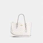 Coach Mollie Tote 25 In Signature Canvas (Glacier)