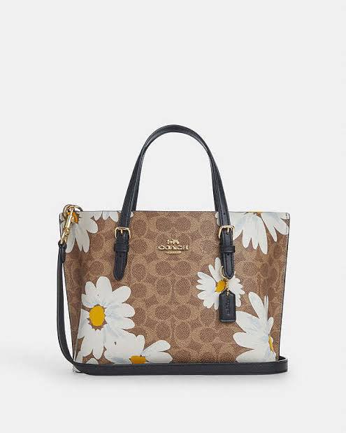 Coach tan tote bag sales