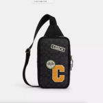 Coach Sullivan Pack In Signature Canvas With Patches (Charcoal Multi)