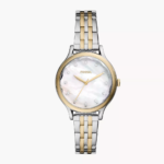 Fossil Laney Three-Hand Two-Tone Stainless Steel Watch (Silver)