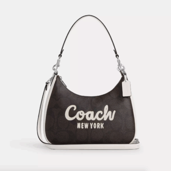 Coach Teri Hobo In Signature Canvas With Coach Graphic (Walnut Chalk)