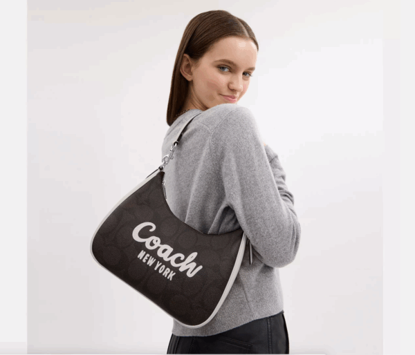[Pre Order]-Coach Teri Hobo In Signature Canvas With Coach Graphic (Walnut Chalk) - Image 2