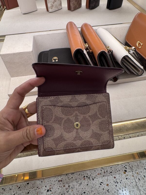 Coach Wyn Small Wallet In Colorblock Signature Canvas (Tan) Boutique Collection - Image 4