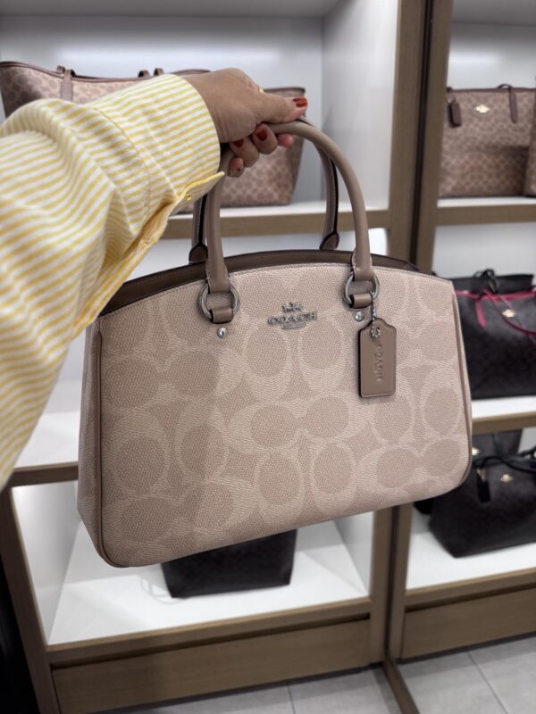 Coach Savannah Small Carryall Bag In Signature Canvas (Sand Taupe) - Image 2
