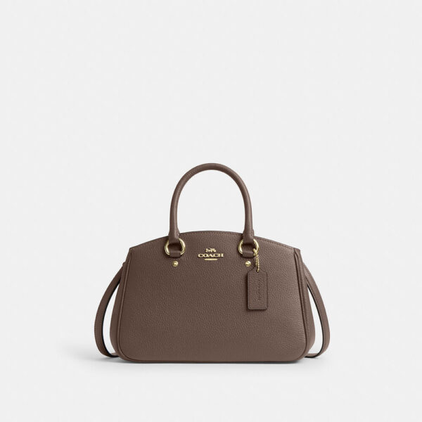 Coach Savannah Small Carryall Bag(Dark Stone)