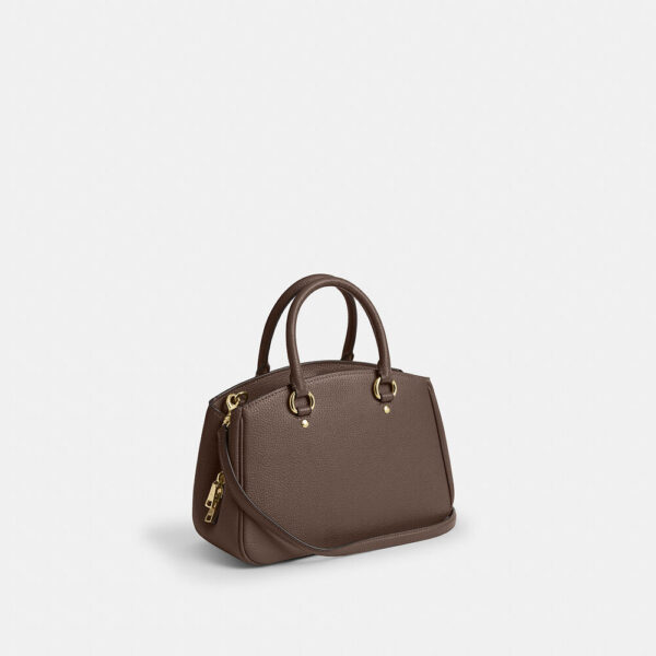 Coach Savannah Small Carryall Bag(Dark Stone) - Image 6