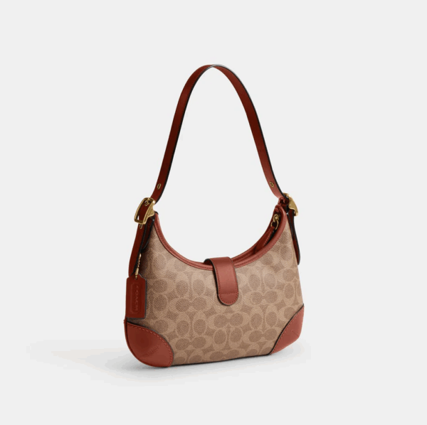 Coach Hamptons Hobo In Signature Canvas (Tan) Boutique Collection - Image 2