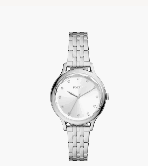 Fossil Laney Three-Hand Stainless Steel Women Watch (BQ3861)