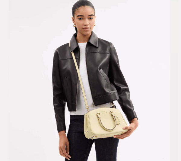 Coach Savannah Small Carryall Bag (Moonlight) - Image 3