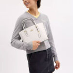 Coach Mollie Tote Bag 25 (Chalk)