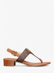 49S5HNFS2B BROWN