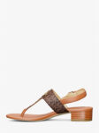 49S5HNFS2B BROWN