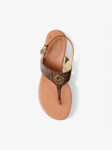49S5HNFS2B BROWN