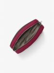 35S1GTTC7L RASPBERRY