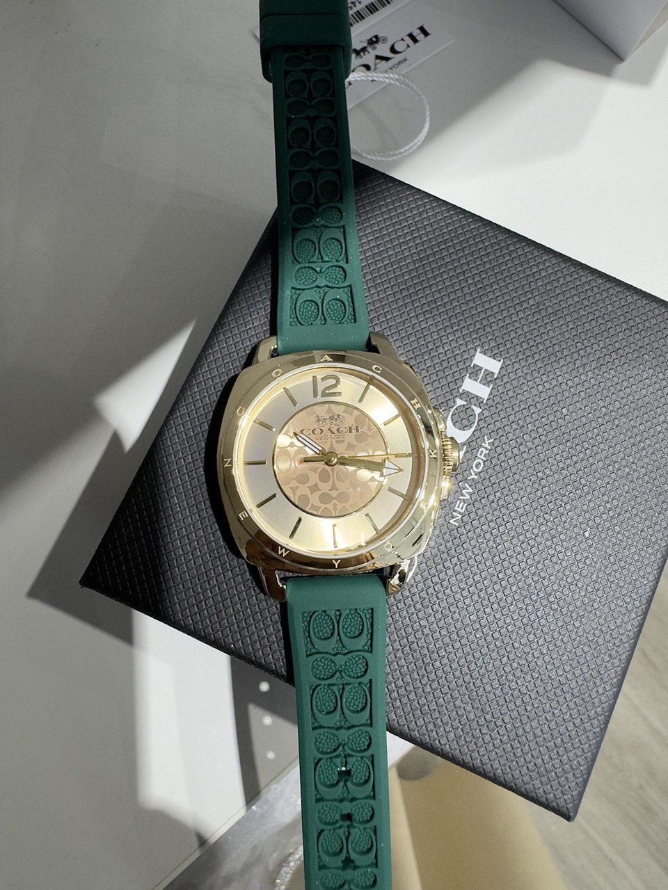14504179 GREEN
