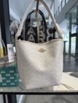 Coach City Large Bucket Bag In Signature Canvas (Chalk)