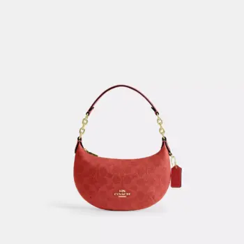 In Transit - Coach Mini Payton Bag In Signature Canvas (Crimson)