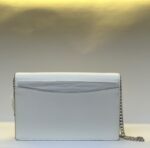 Marc Jacobs Party On A Chain Cluth and Crossbody Leather Bag (Cotton)